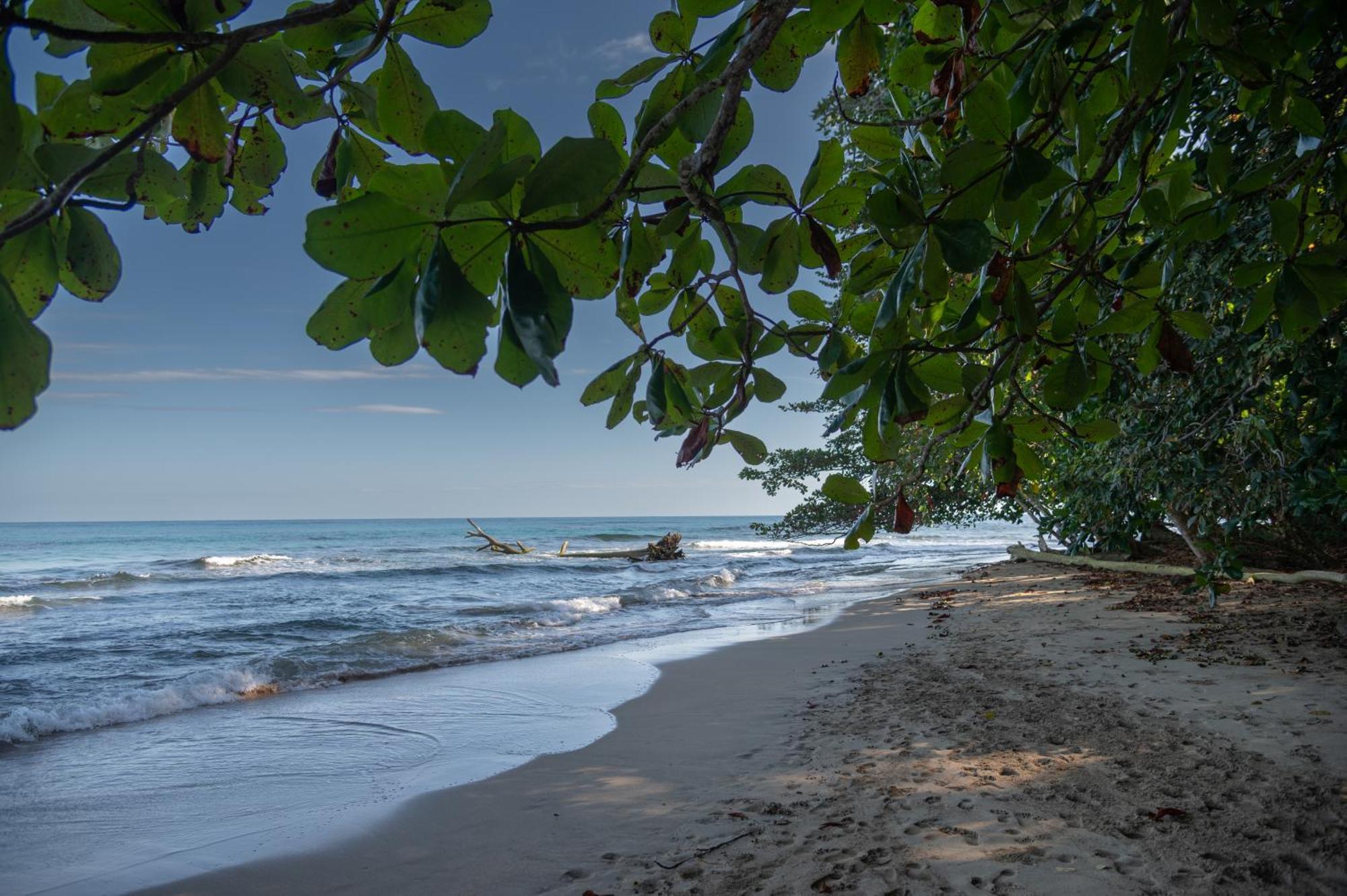 Puerto Viejo de Talamanca Le Cameleon Boutique Hotel מראה חיצוני תמונה