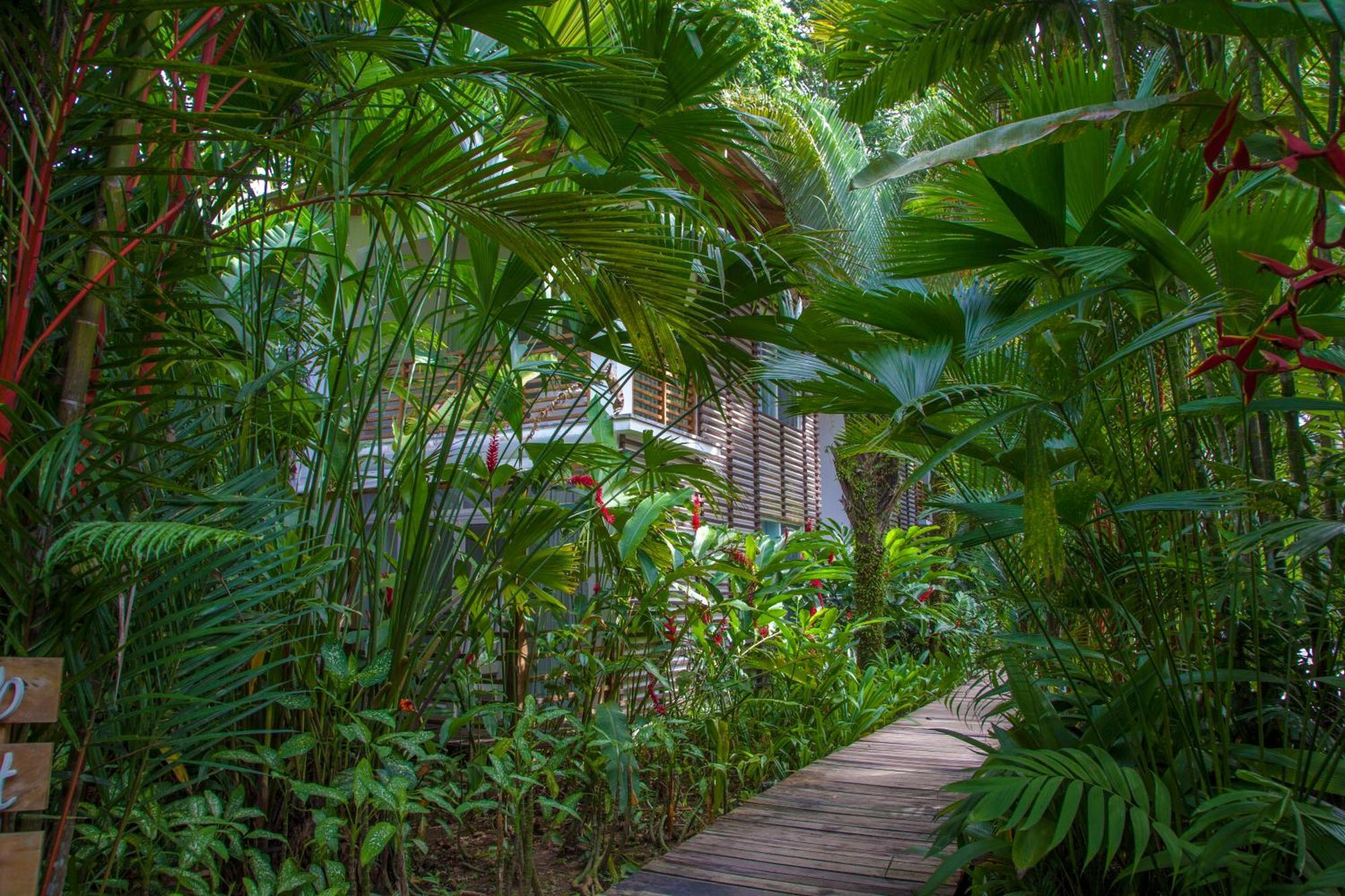 Puerto Viejo de Talamanca Le Cameleon Boutique Hotel מראה חיצוני תמונה