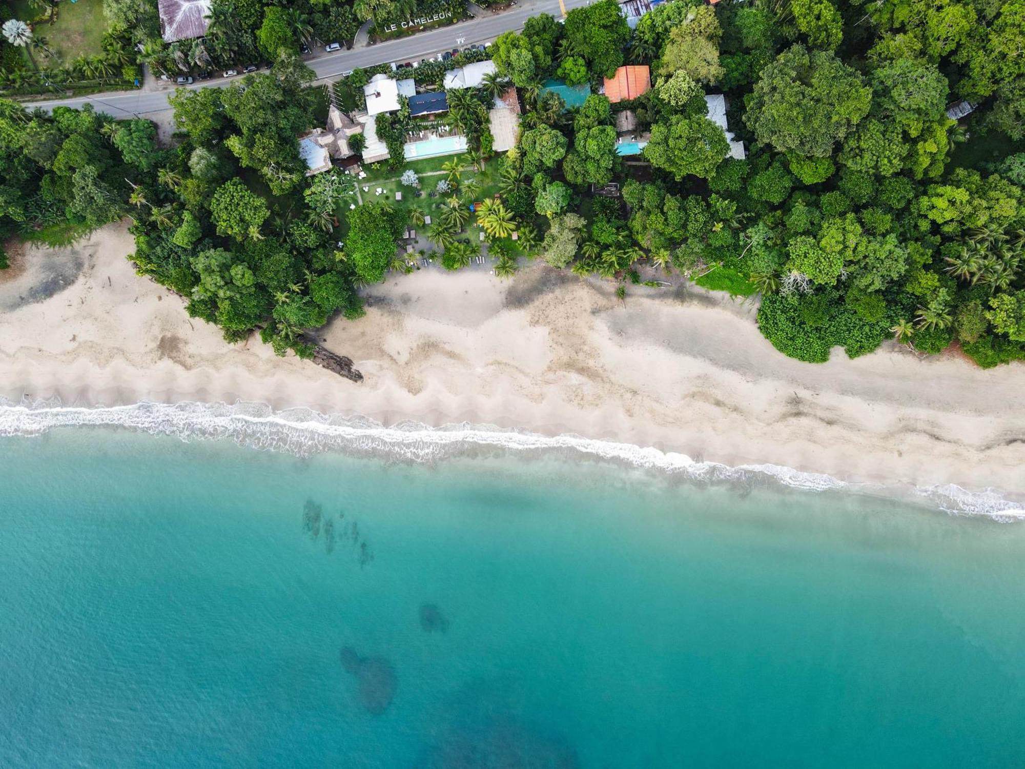 Puerto Viejo de Talamanca Le Cameleon Boutique Hotel מראה חיצוני תמונה